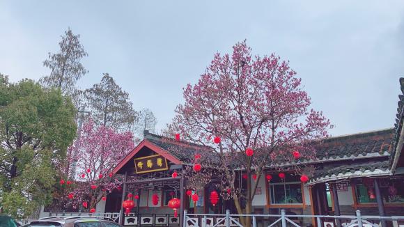 溧阳竹海湾农庄【包吃住】【近南山竹海景区】